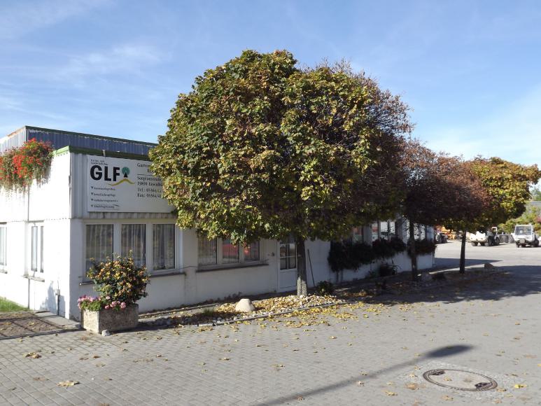 Baum vorm Firmengebäude Baum vorm Firmengebäude