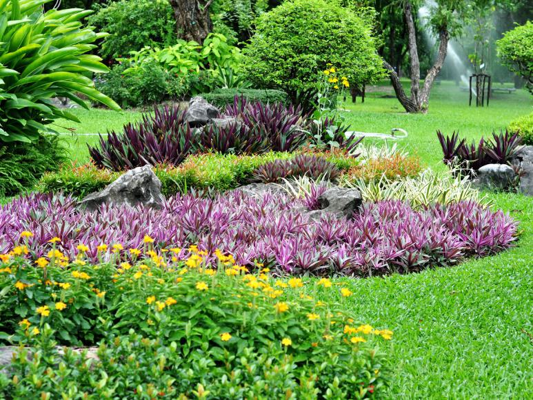 Blumenbeete Blumenbeete