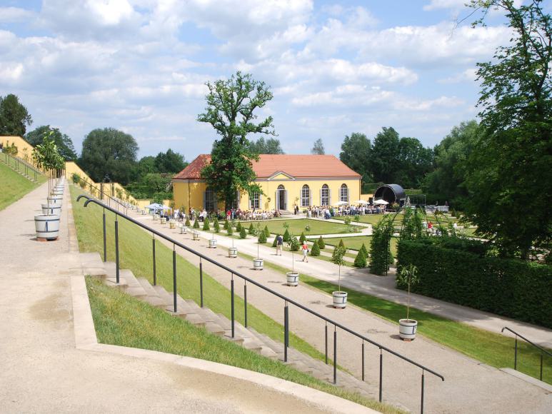 Bäume in Töpfen Bäume in Töpfen