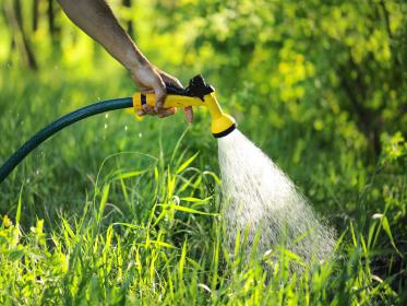 Garten wird gesprengt