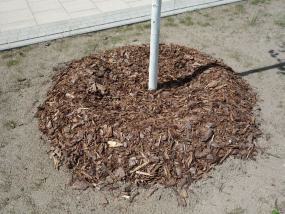 Abdeckung mit Rindenmulch Abdeckung mit Rindenmulch