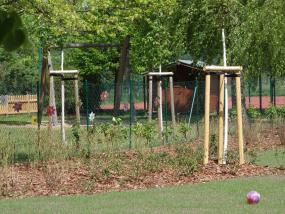 Baumschutz Baumschutz