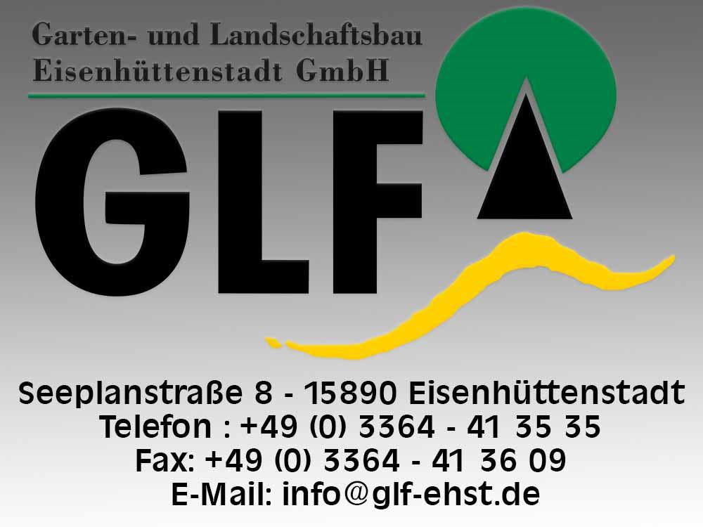 Logo und Adresse GLF