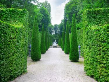 Irrgarten
