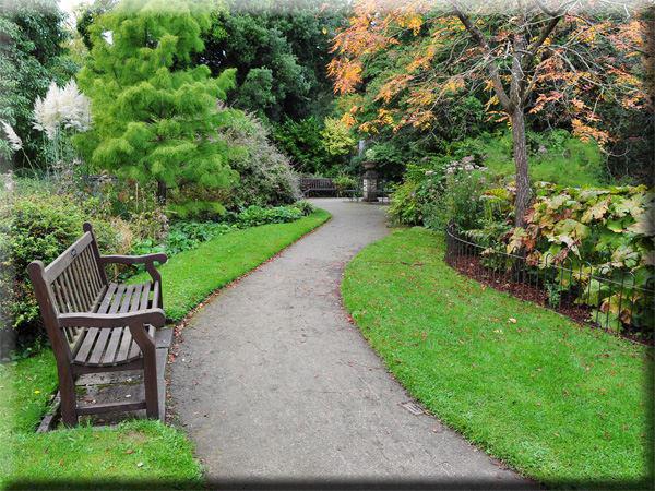 Weg durch Park mit Bank